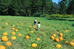 resIMG_20141004_130726_3387.JPG